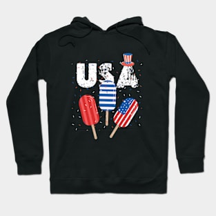 Rainbow American Flag 4th of July Memorial Hoodie